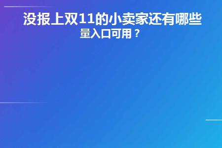 没报上双11的小卖家还有哪些流量入口可用(双十一小商家都没生意吧)