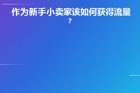 作为新手小卖家该如何获得流量呢(商家怎么赚流量)