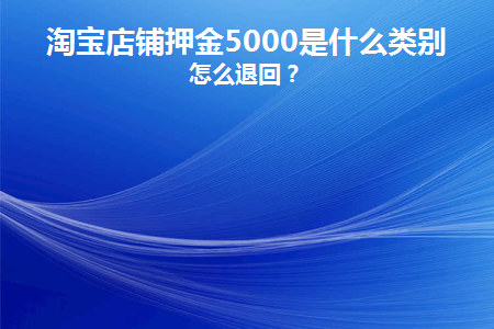 淘宝店铺押金5000是什么类别(淘宝押金5000的类目)