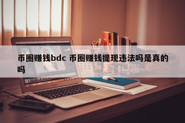 币圈赚钱bdc(币圈赚钱的是哪些人)