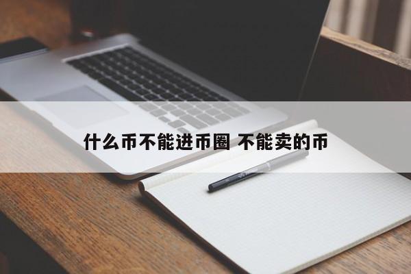 什么币不能进币圈(什么币不能进币圈了)