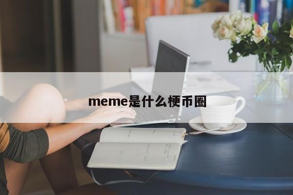 meme是什么梗币圈(meme梗图网站)