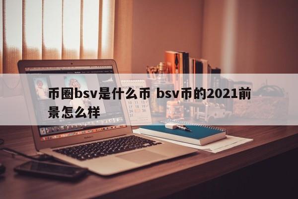 币圈bsv是什么币(bsv币的前景怎么样)