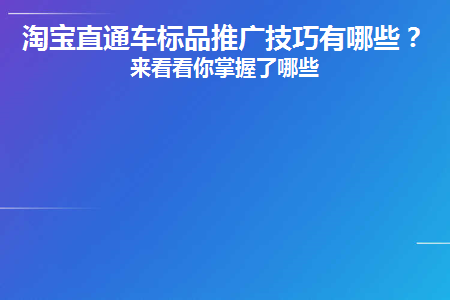 淘宝直通车标品推广技巧有哪些(淘宝直通车标品推广技巧有哪些内容)