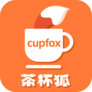 茶杯狐 Cupfox