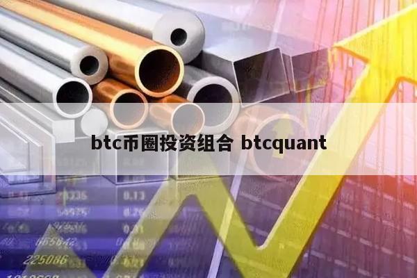 btc币圈投资组合(投资btc风险大吗)