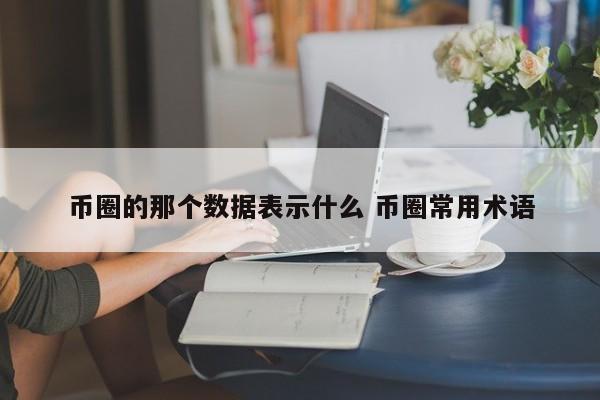 币圈的那个数据表示什么(币圈chz)