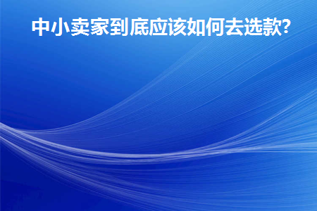 中小卖家到底应该如何去选款(中小卖家到底应该如何去选款店铺)