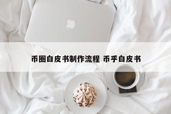 币圈白皮书制作流程(币圈白皮书在哪里看)