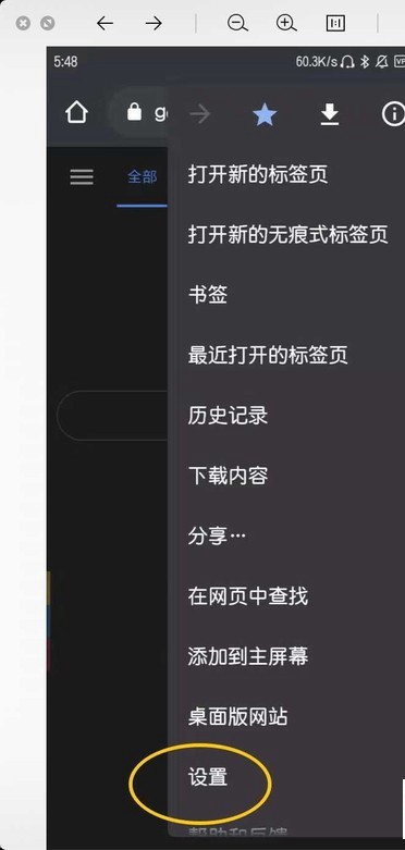 谷歌浏览器夜间模式怎么设置手机