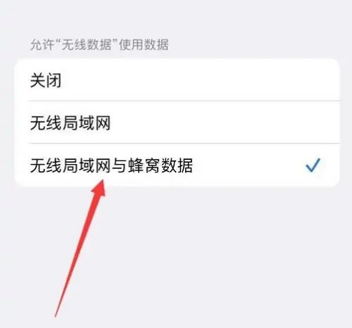 苹果app信任后无法验证需要互联网