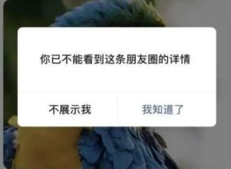 微信更新了什么新功能