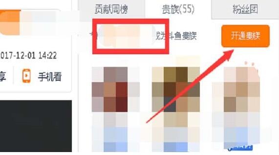 斗鱼贵族怎么开