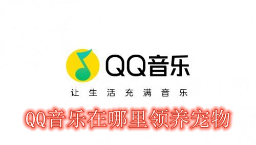 QQ音乐在哪里领养宠物