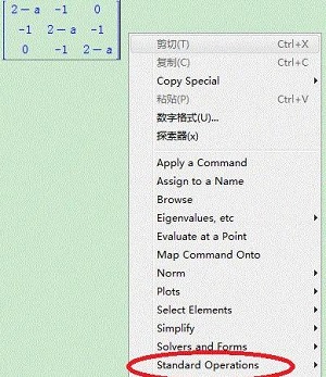maple软件怎么算行列式