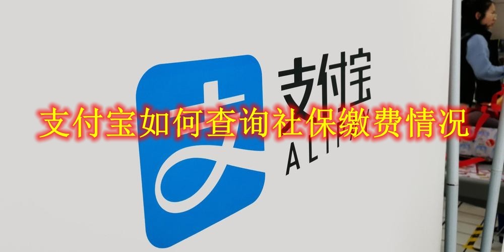 支付宝如何查询社保缴费情况