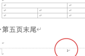 word页码如何从指定页开始设置