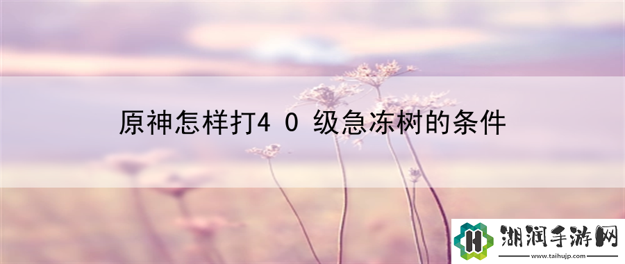 原神怎样打40级急冻树的条件：篮球历史上的经典瞬间网