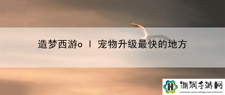 造梦西游ol宠物升级最快的地方：宠物养成攻略