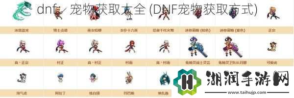 dnf：宠物获取大全