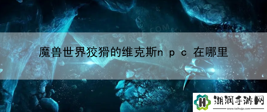 魔兽世界狡猾的维克斯npc在哪里：竞技策略深度剖析手册网