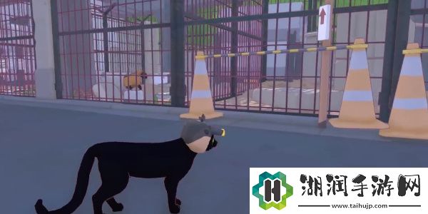 小猫咪大城市从管道中救出攻略