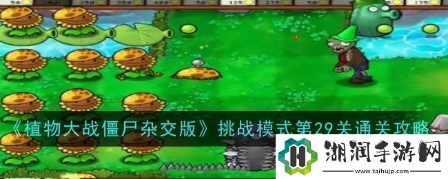 植物大战僵尸杂交版挑战模式第29关通关攻略