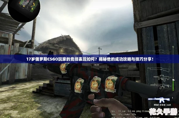 17岁俄罗斯CSGO玩家的竞技表现如何