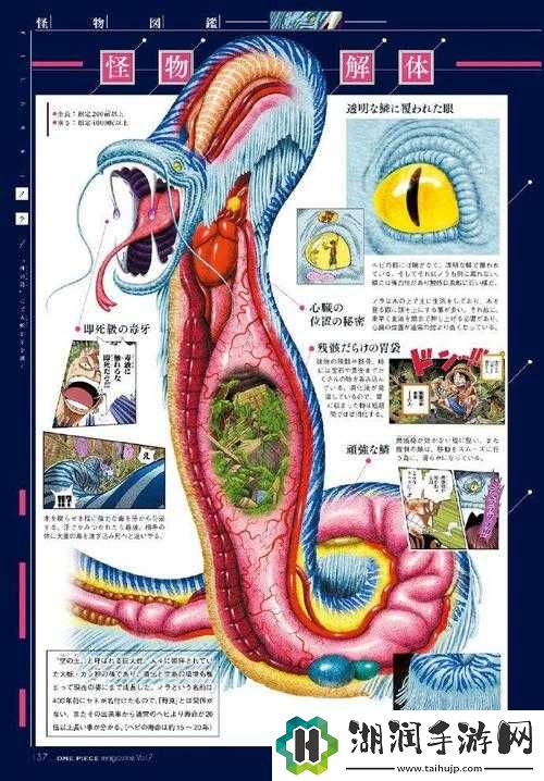 本王的尺寸可还满意之探究