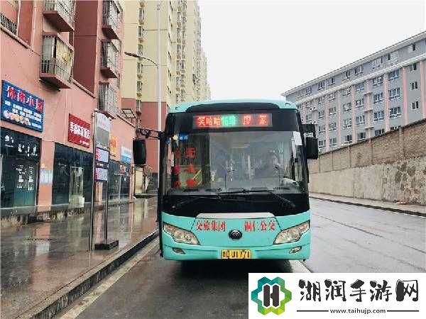 老周张琳公交车：一段特别的出行之旅