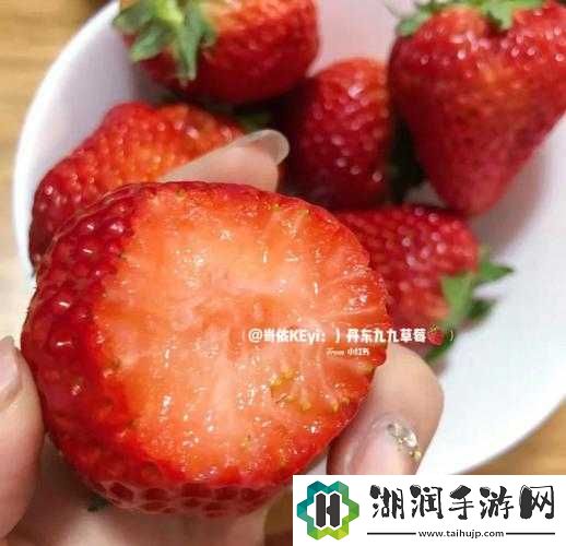 蜜丝婷大草莓与小草莓的全面对比分析及差异