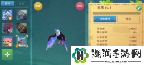 创造与魔法云鹰饲料怎么做