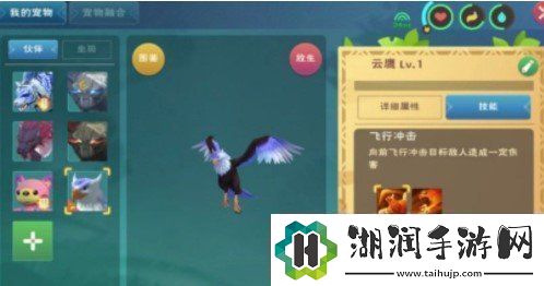 创造与魔法云鹰饲料怎么做