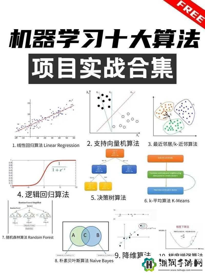 从入门到精通：SSD