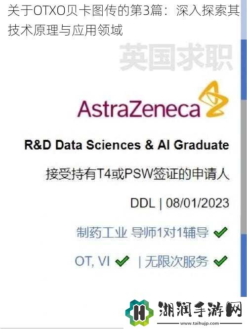 关于OTXO贝卡图传的第3篇：深入探索其技术原理与应用领域