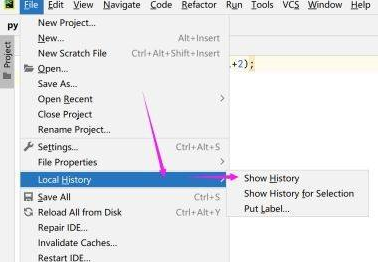 pycharm记录历史和还原